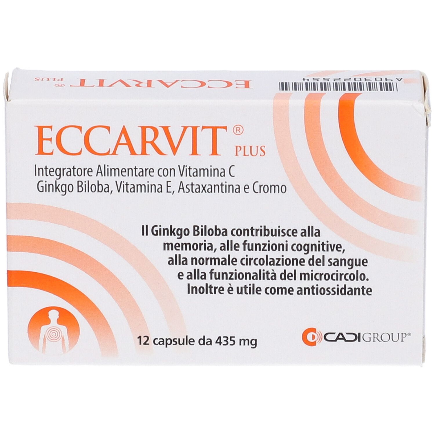 Scatola bianca con scritta ECCARVIT PLUS. Contiene 12 capsule. Con vitamina C, Ginkgo Biloba, vitamina E, Astaxantina e Cromo.