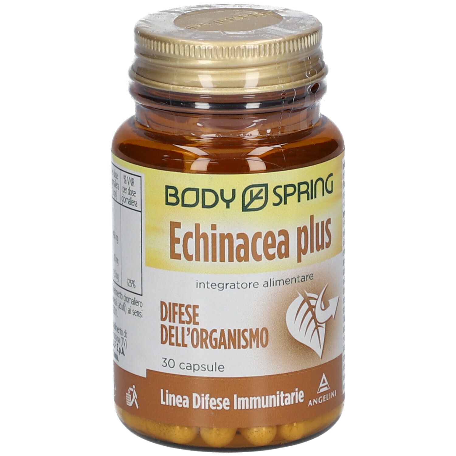 Angelini Body Spring Echinacea plus