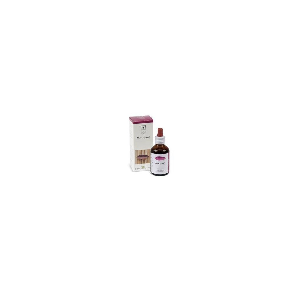 Ficus Carica 50Ml Stv