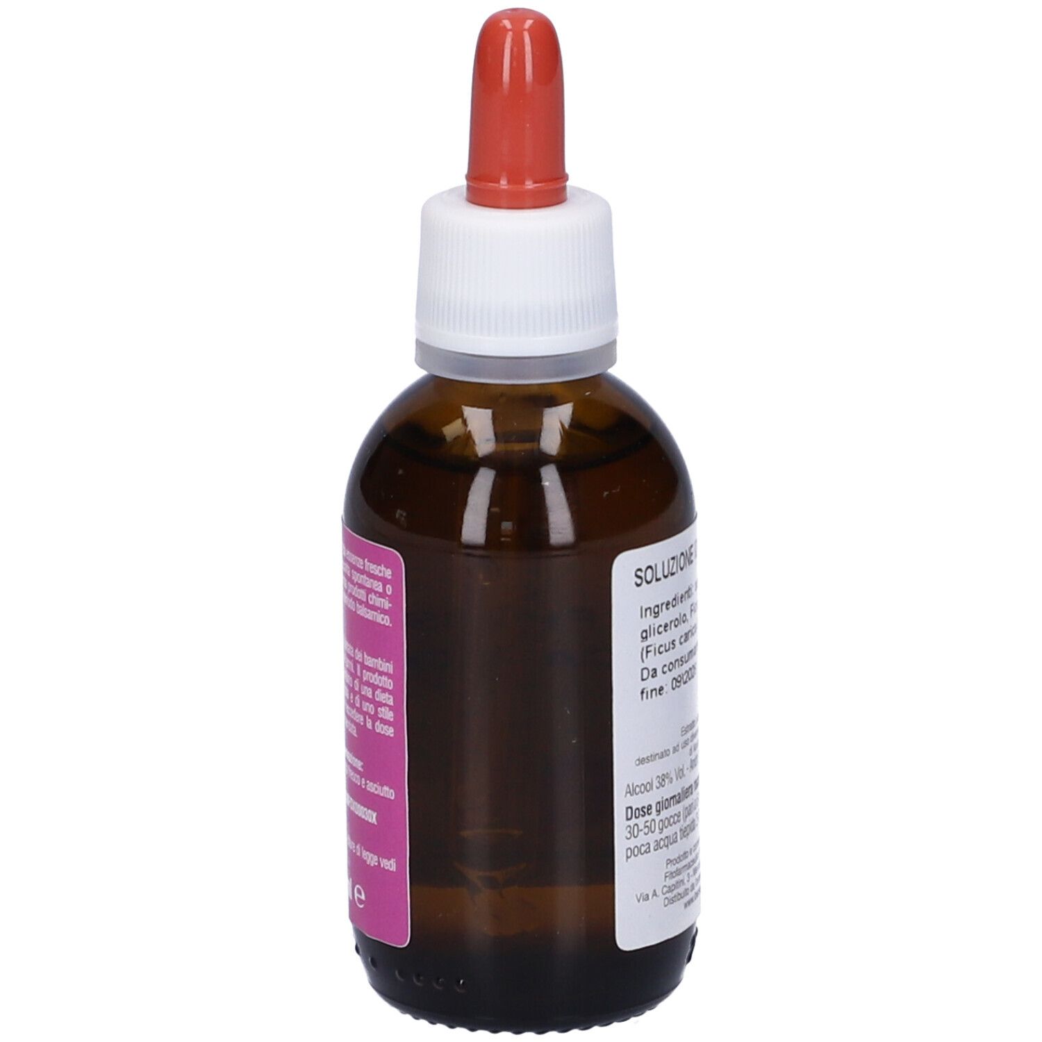 Ficus Carica 50Ml Stv