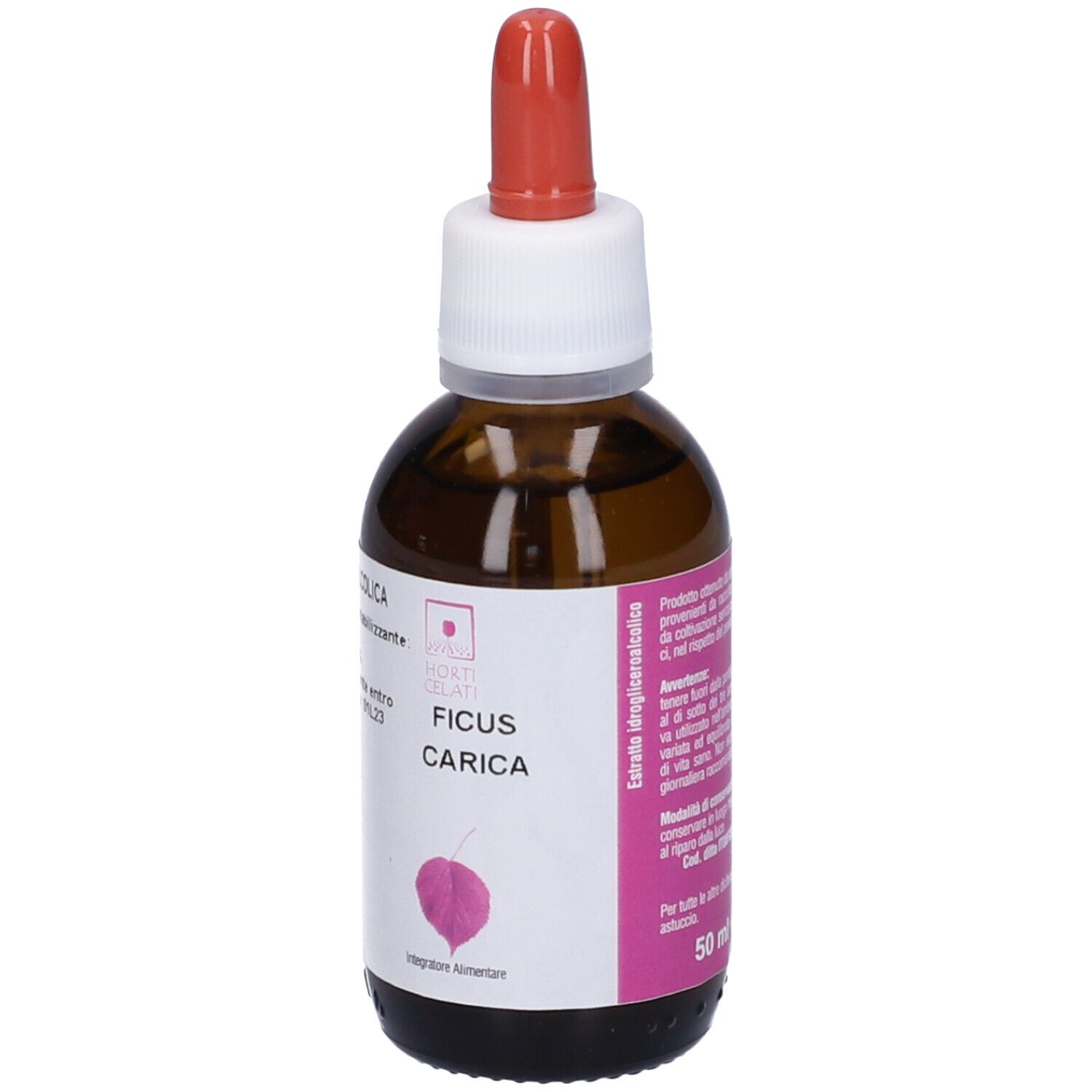 Ficus Carica 50Ml Stv