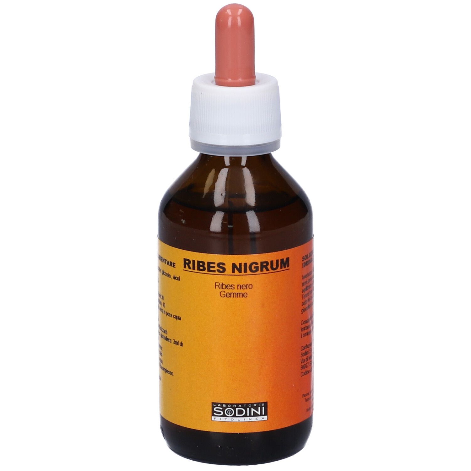 Ribes Nigrum 100Ml