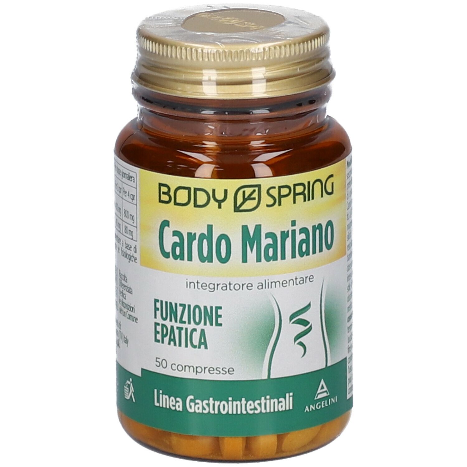 Angelini Body Spring Cardo Mariano