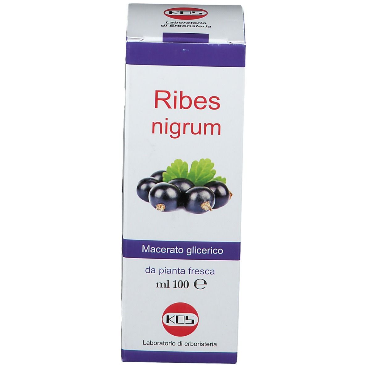 KOS Ribes Nigrum
