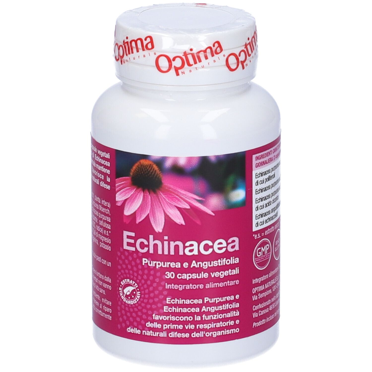 Optima Echinacea
