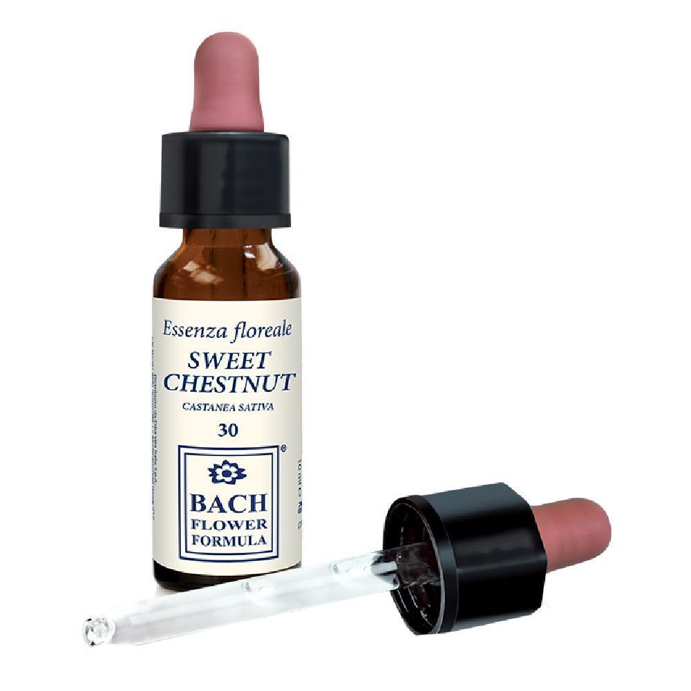 Sweet Chestnut Original 10Ml