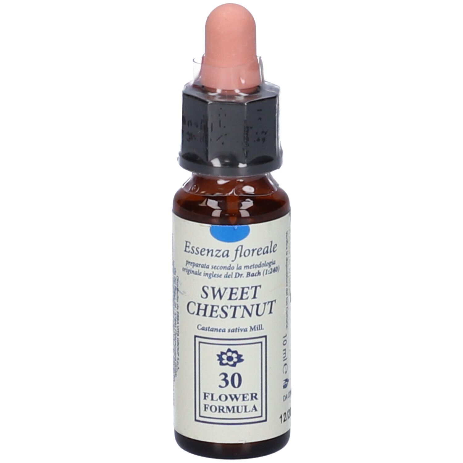 Sweet Chestnut Original 10Ml