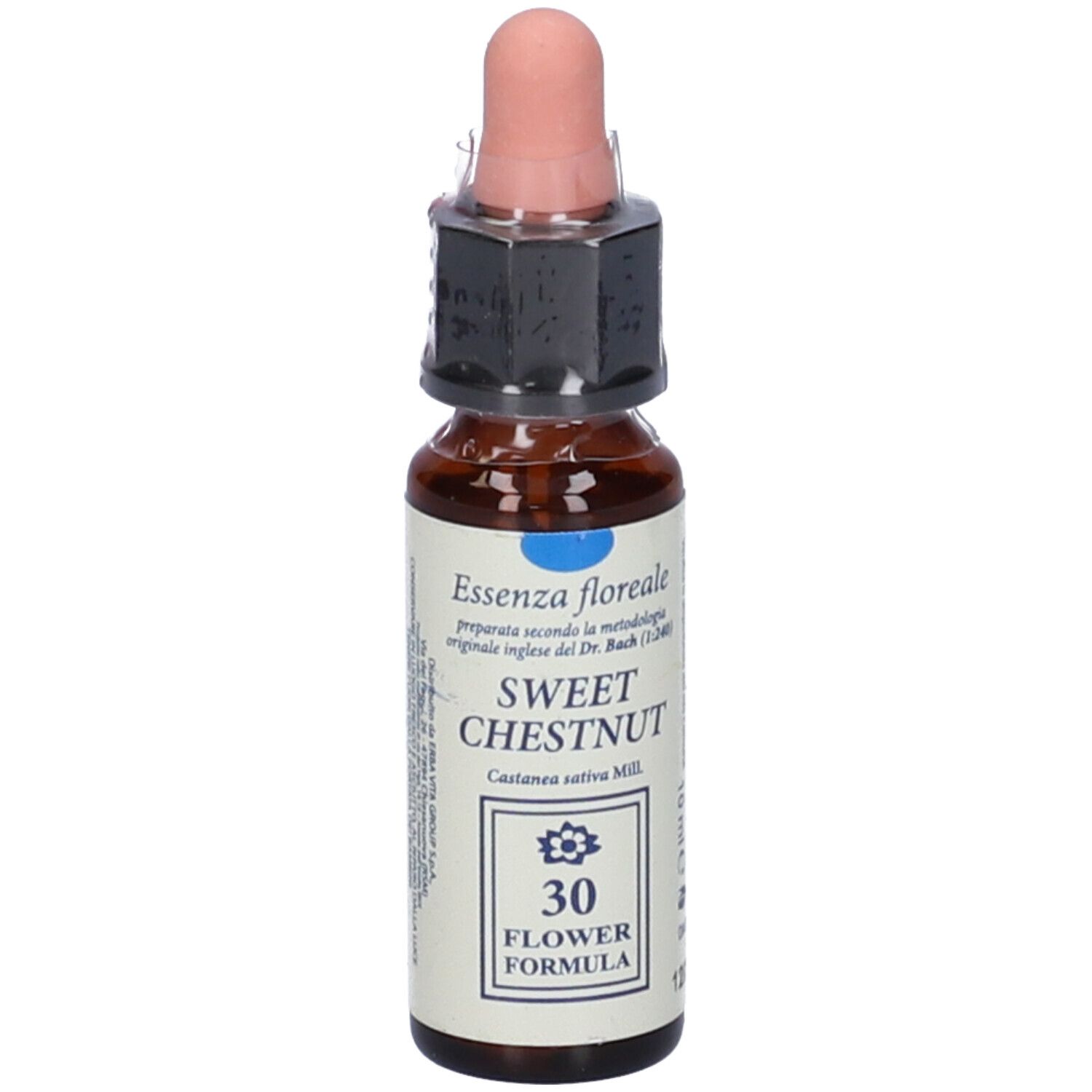 Sweet Chestnut Original 10Ml