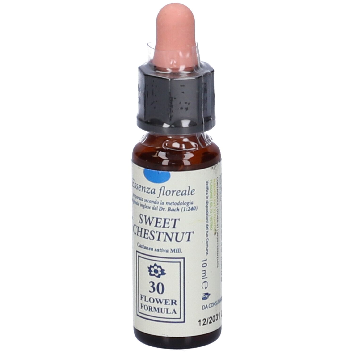 Sweet Chestnut Original 10Ml