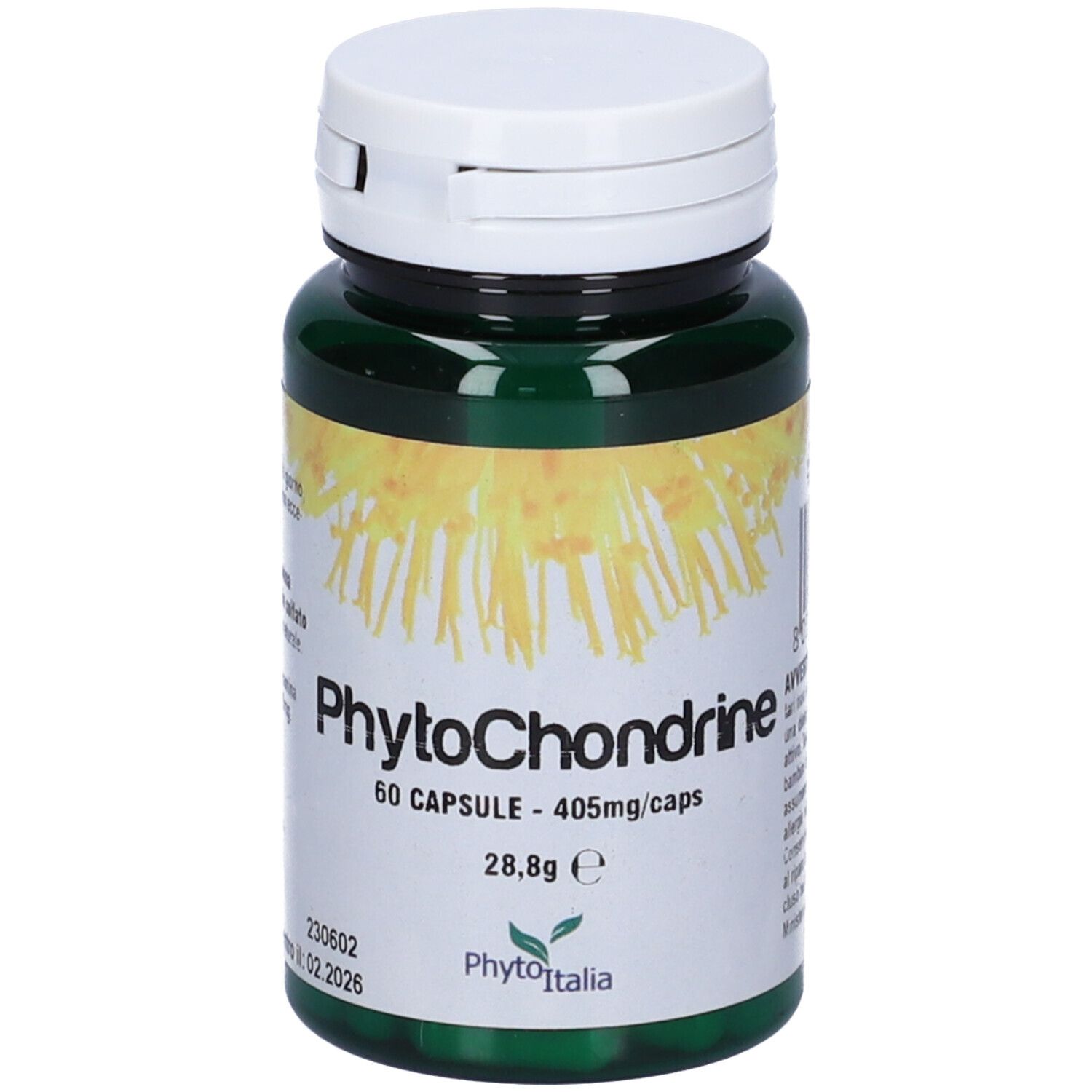 Phytochondrine 60 Capsule