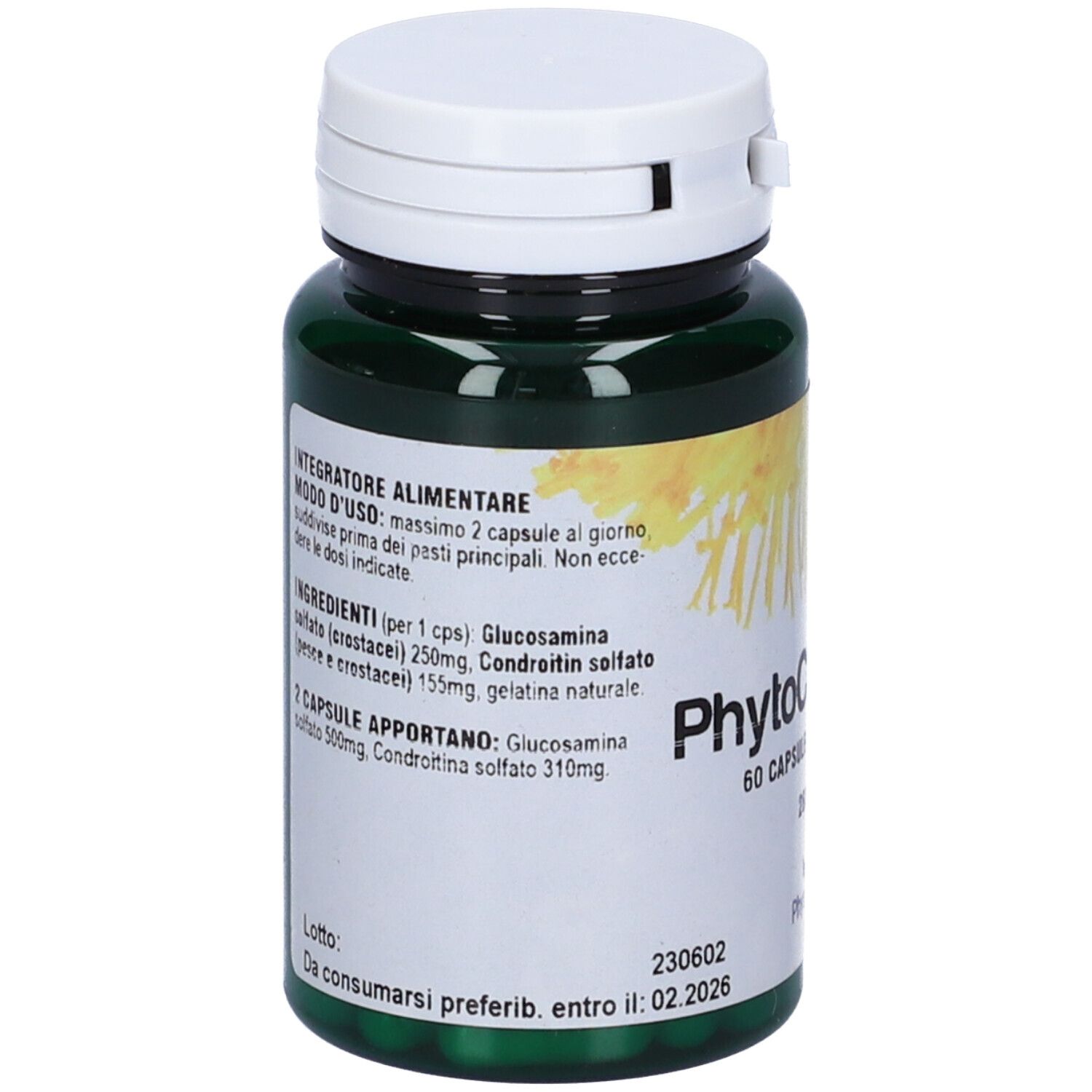 Phytochondrine 60 Capsule