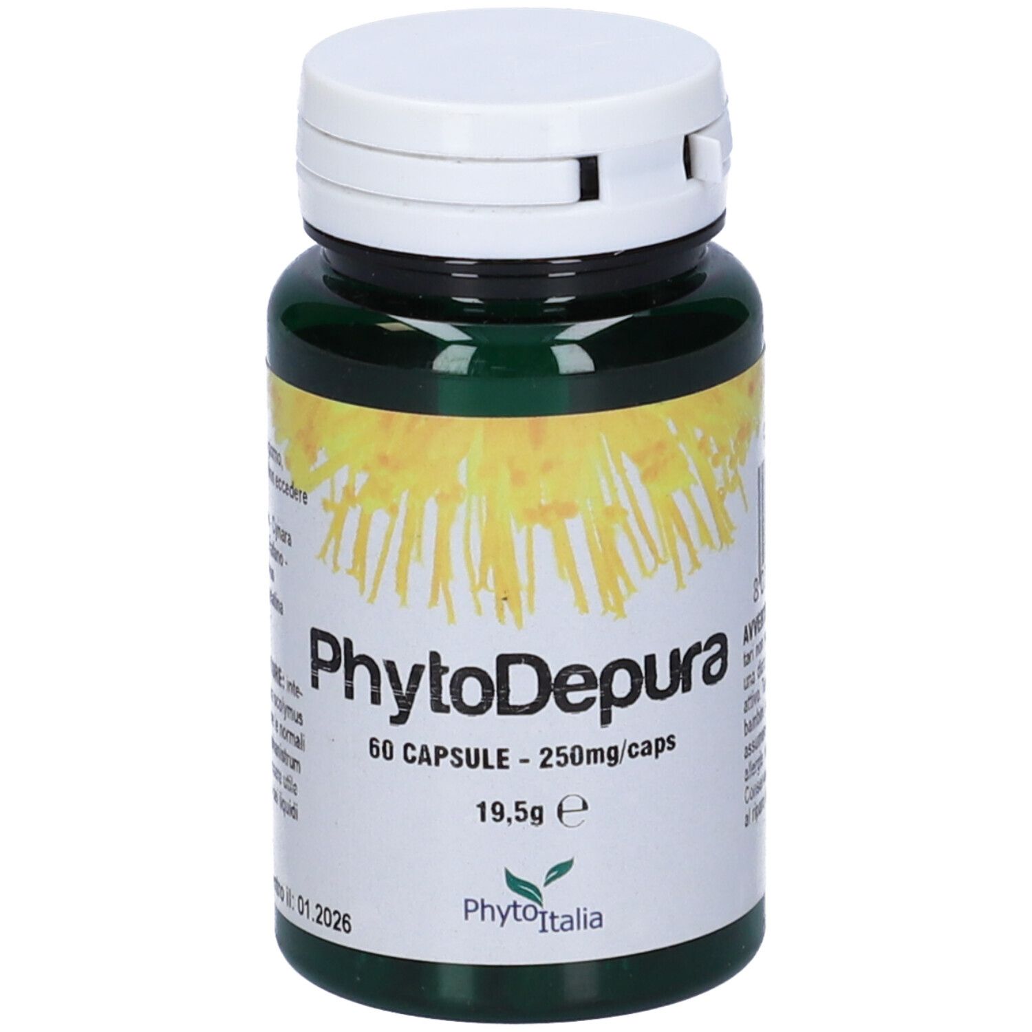 Phytodepura 60 Capsule