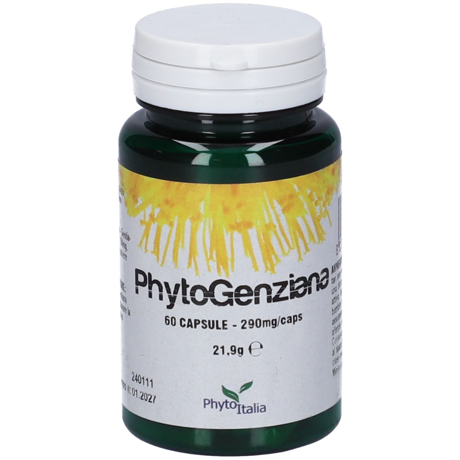 Flacone verde con tappo bianco. Scritta: PhytoGenziana, 60 capsule, 290mg/caps. Logo: PhytoItalia.