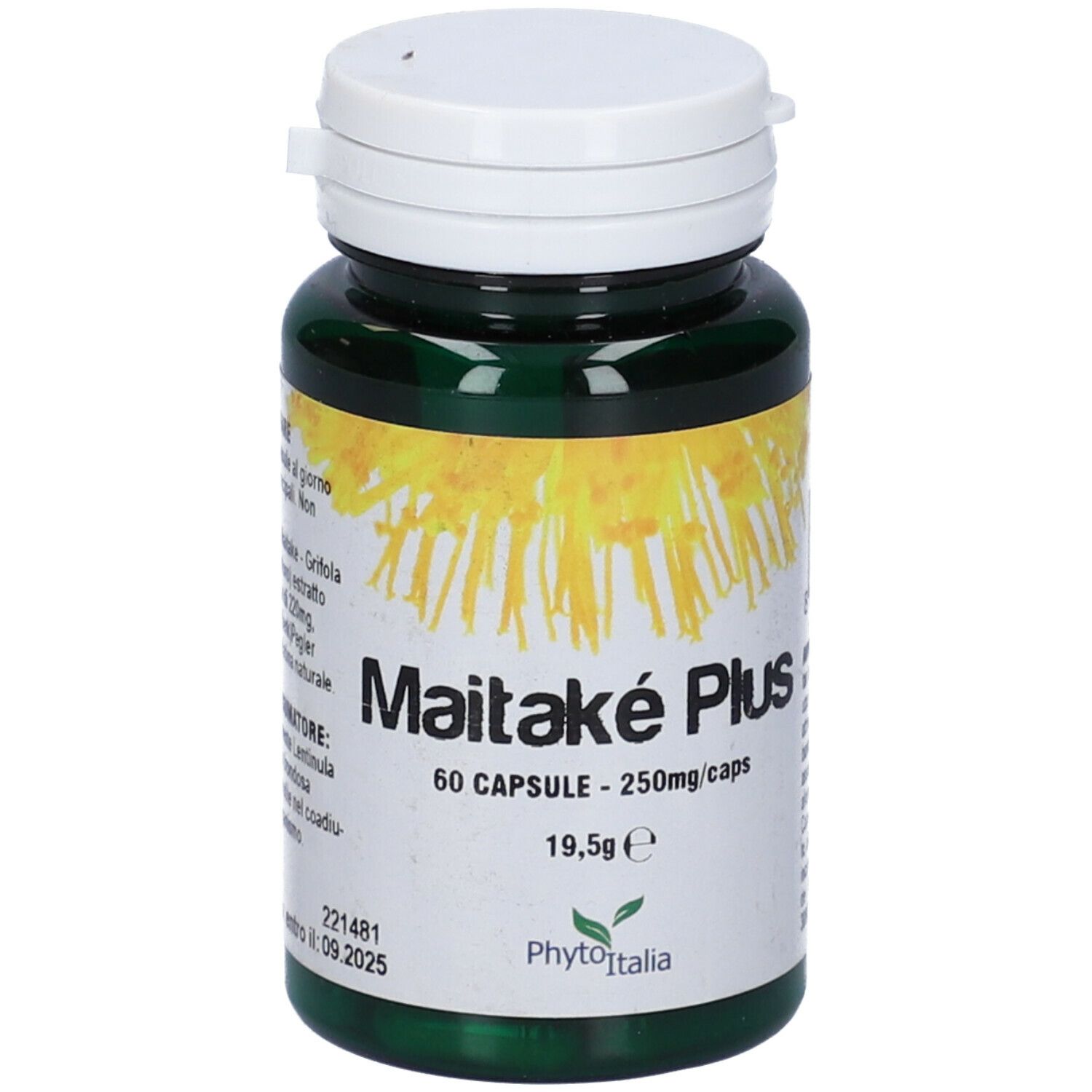 Maitake Plus 60 Capsule