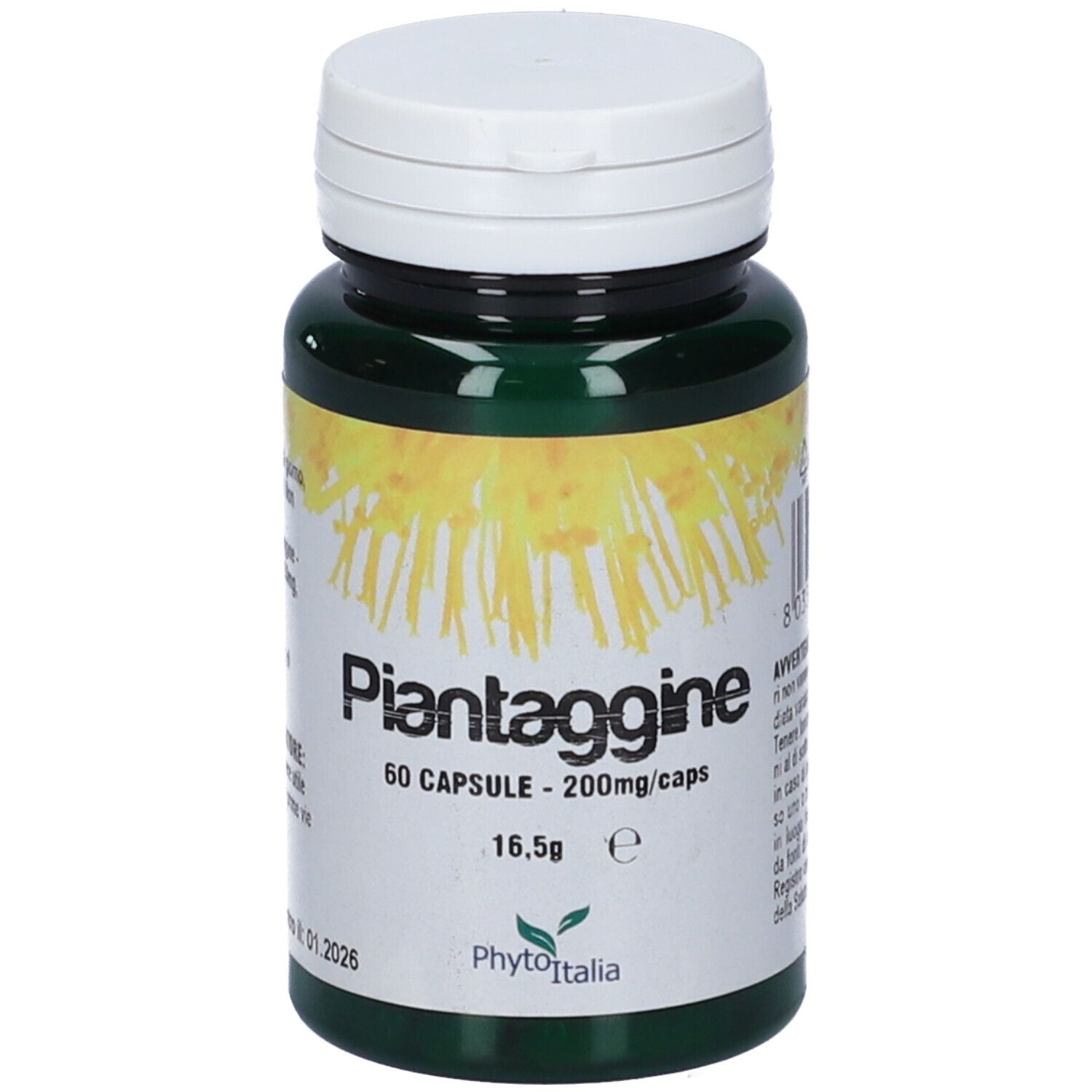 Flacone verde con tappo bianco. Scritta: Piantaggine, 60 capsule, 200mg/caps. Marchio: PhytoItalia.