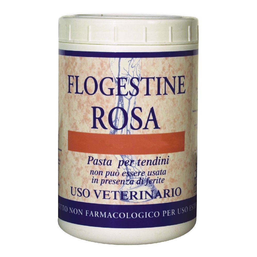 Flogestine Rosa Pasta 1 Kg