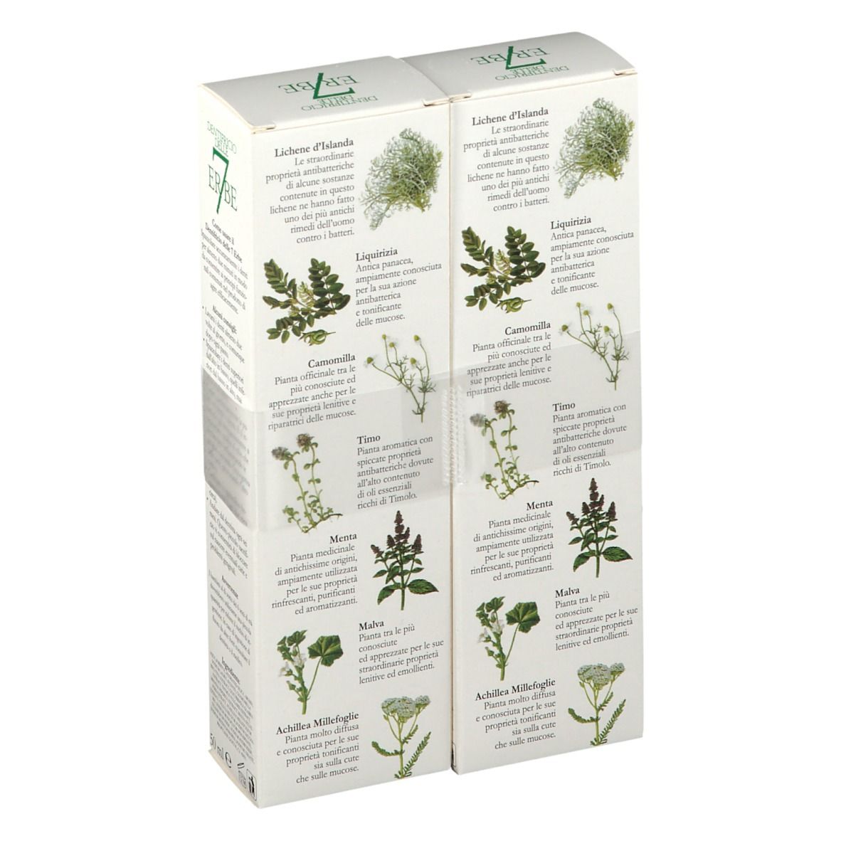Due scatole di dentifricio "7 Erbe". Retro con informazioni e illustrazioni di erbe. Testo italiano.