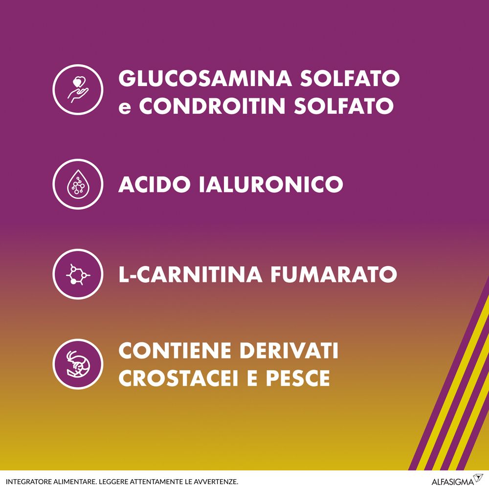 Grafica con ingredienti: Glucosamina, Condroitina, Acido ialuronico, L-Carnitina. Contiene crostacei e pesce.
