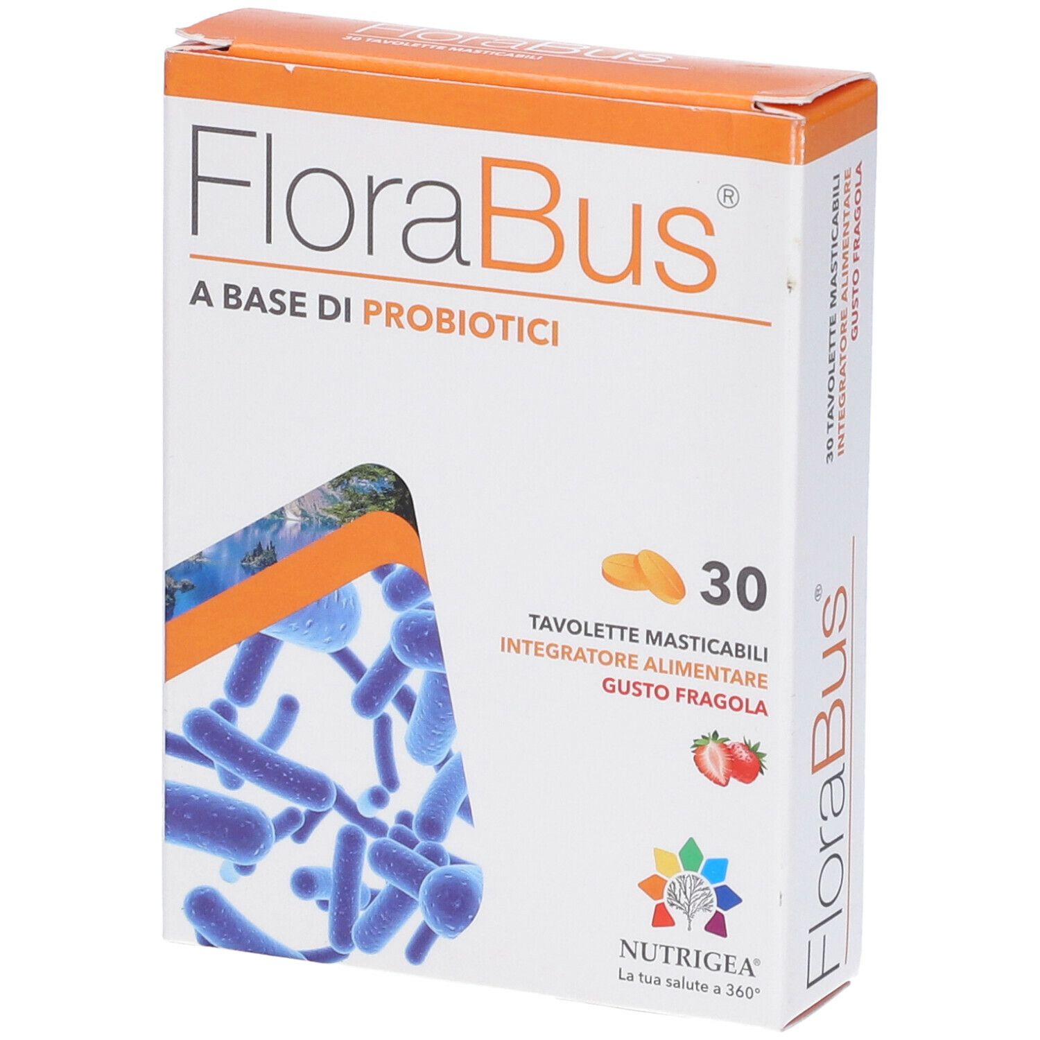 Florabus 30Tav