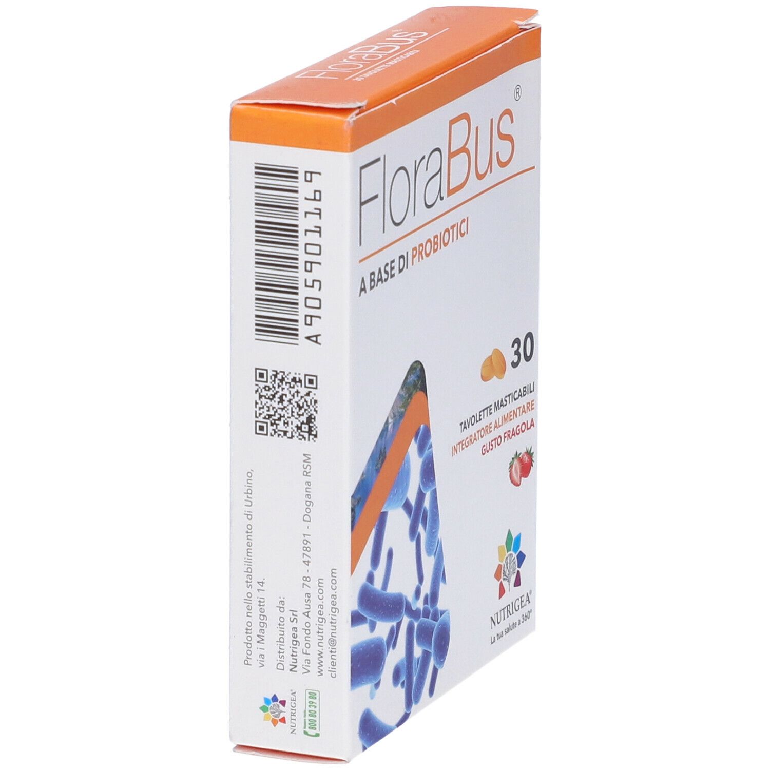 Florabus 30Tav