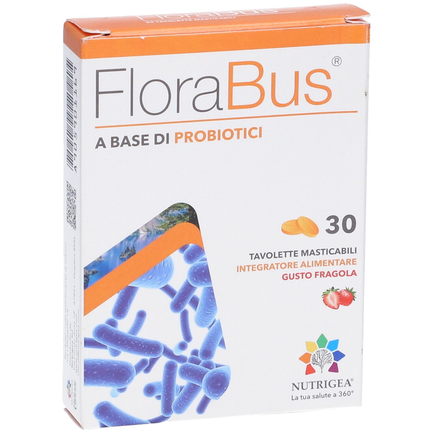 Florabus 30Tav