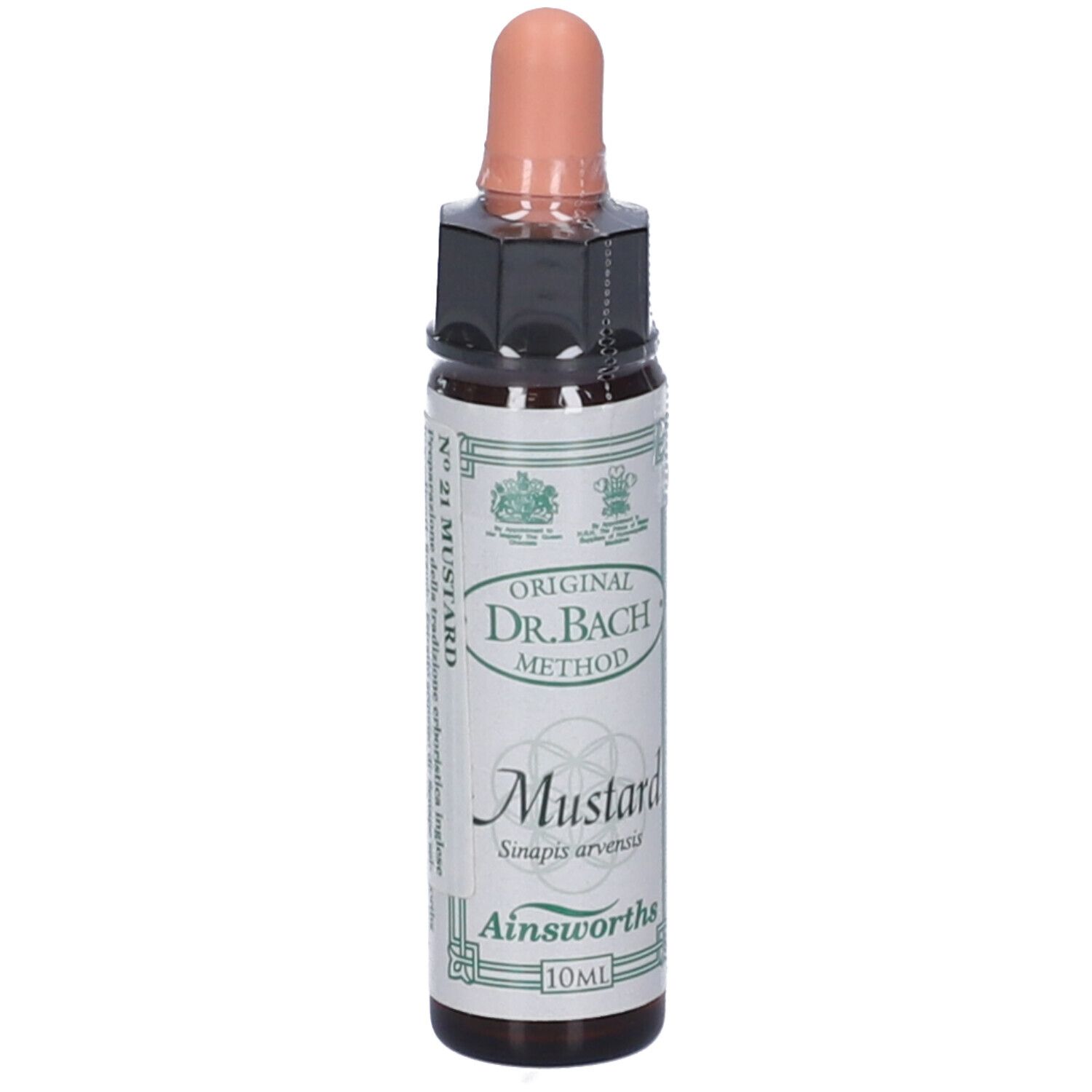 Ainsworths Dr.Bach n°21 Mustard Sinapis Arvensis