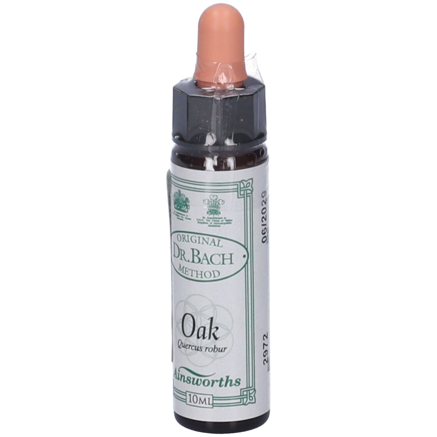 Ainsworths Dr.Bach n°22 Oak Quercus Robur