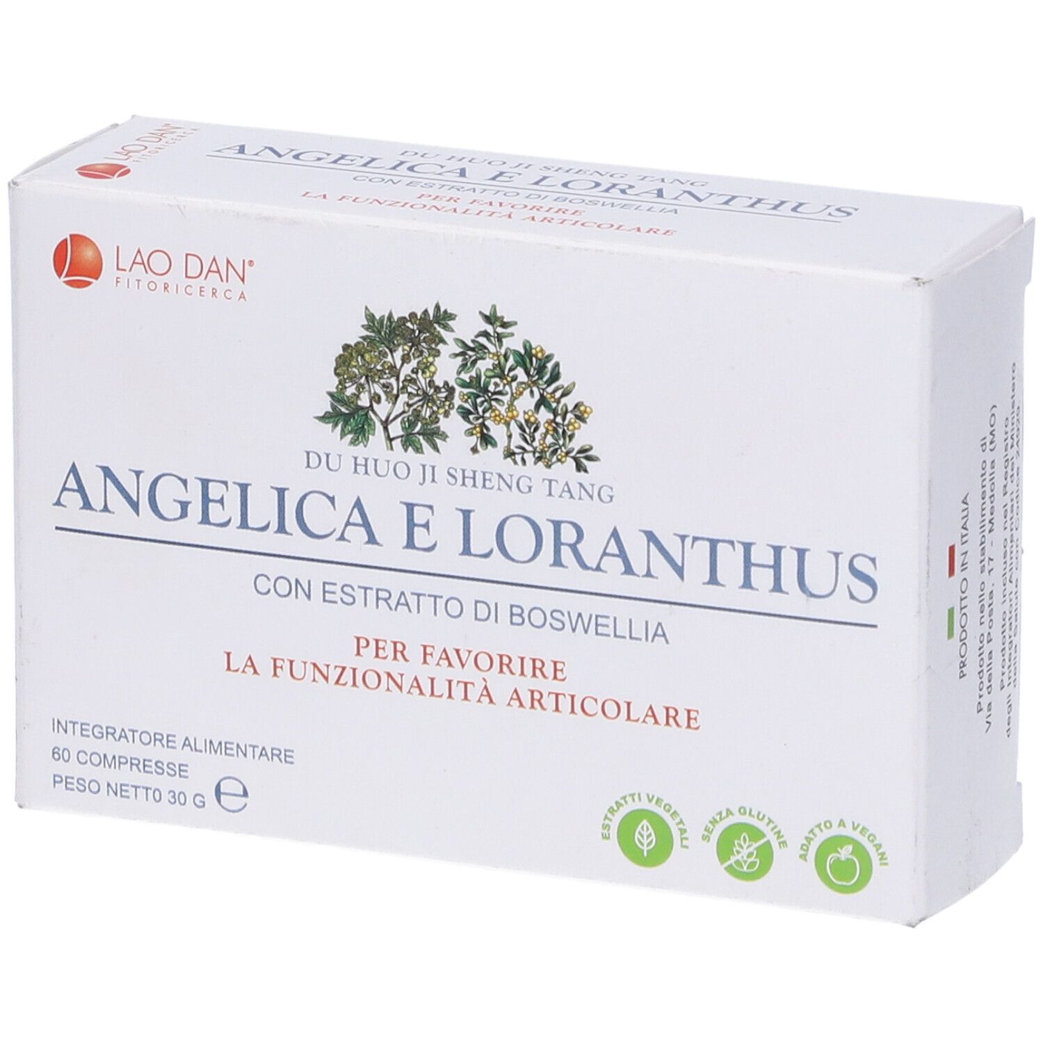 Angelica E Loranthus