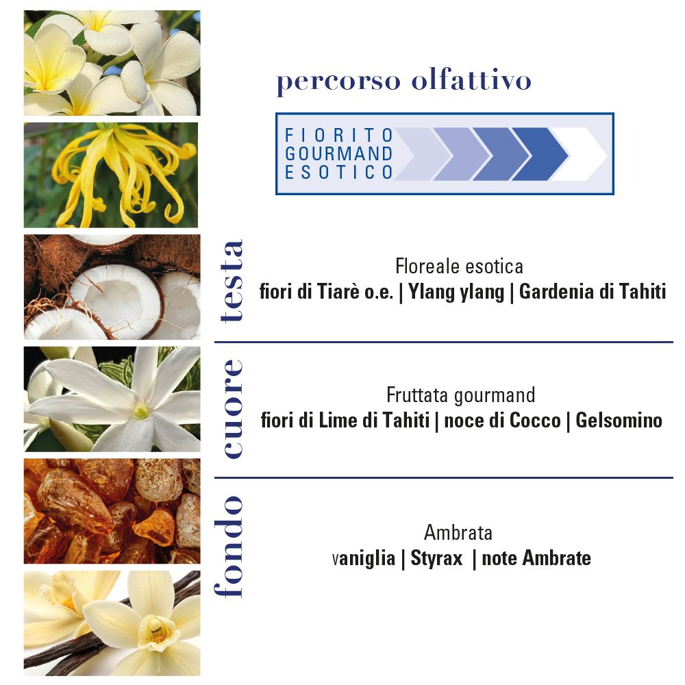 Grafico con note olfattive. Testo: Fiorito Gourmand Esotico. Immagini di fiori, cocco, vaniglia.