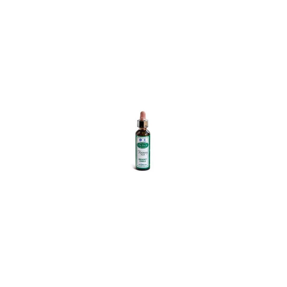 Ainsworths Recov Plus 20Ml