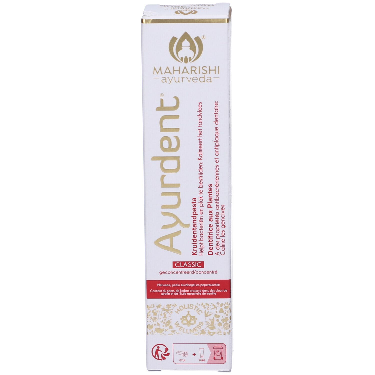 Ayurdent Dentifricio 75 Ml