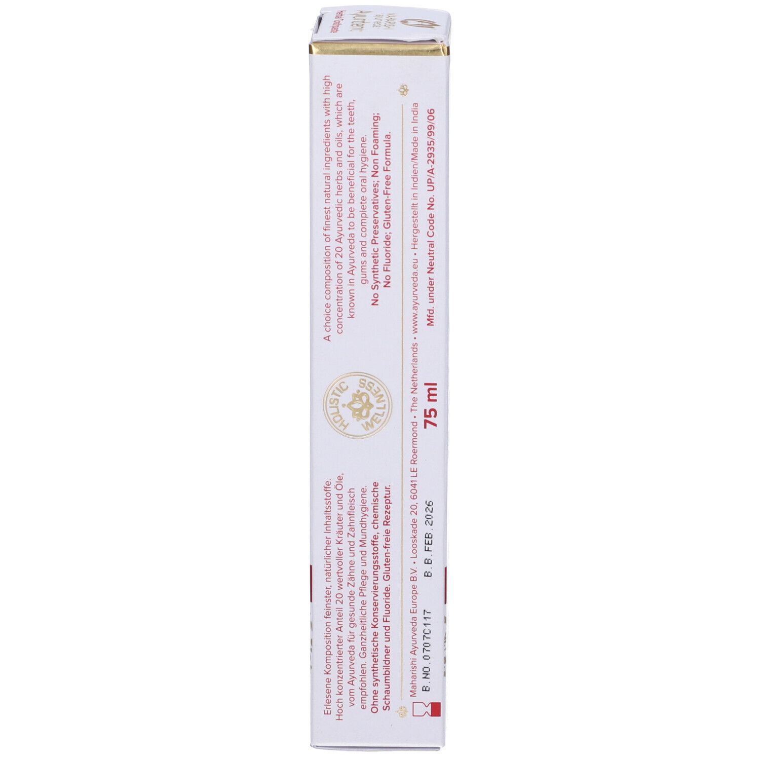 Ayurdent Dentifricio 75 Ml