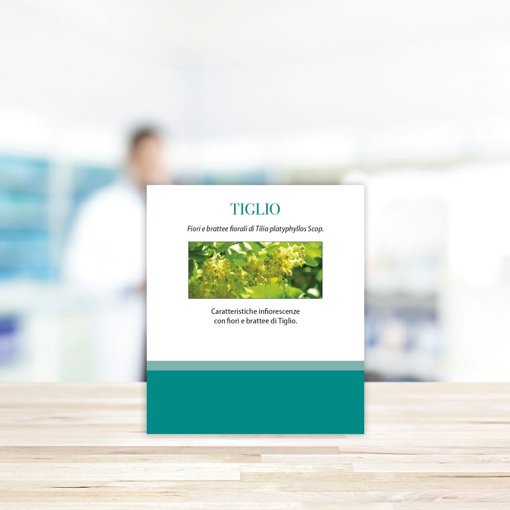 Confezione Tiglio con immagine di fiori. Testo: Caratteristiche infiorescenze con fiori e brattee di Tiglio.