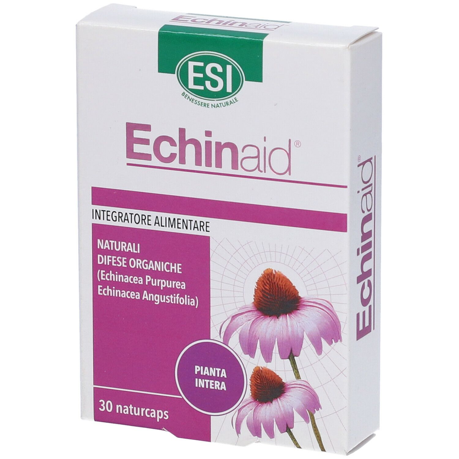 ESI Echinaid