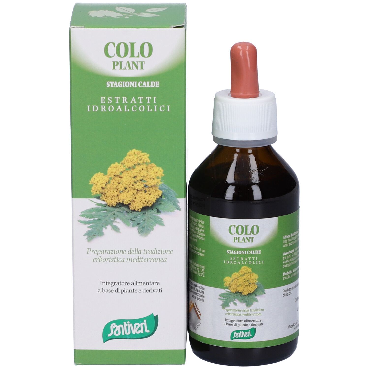 Zef02 Coloplant Cald Stv