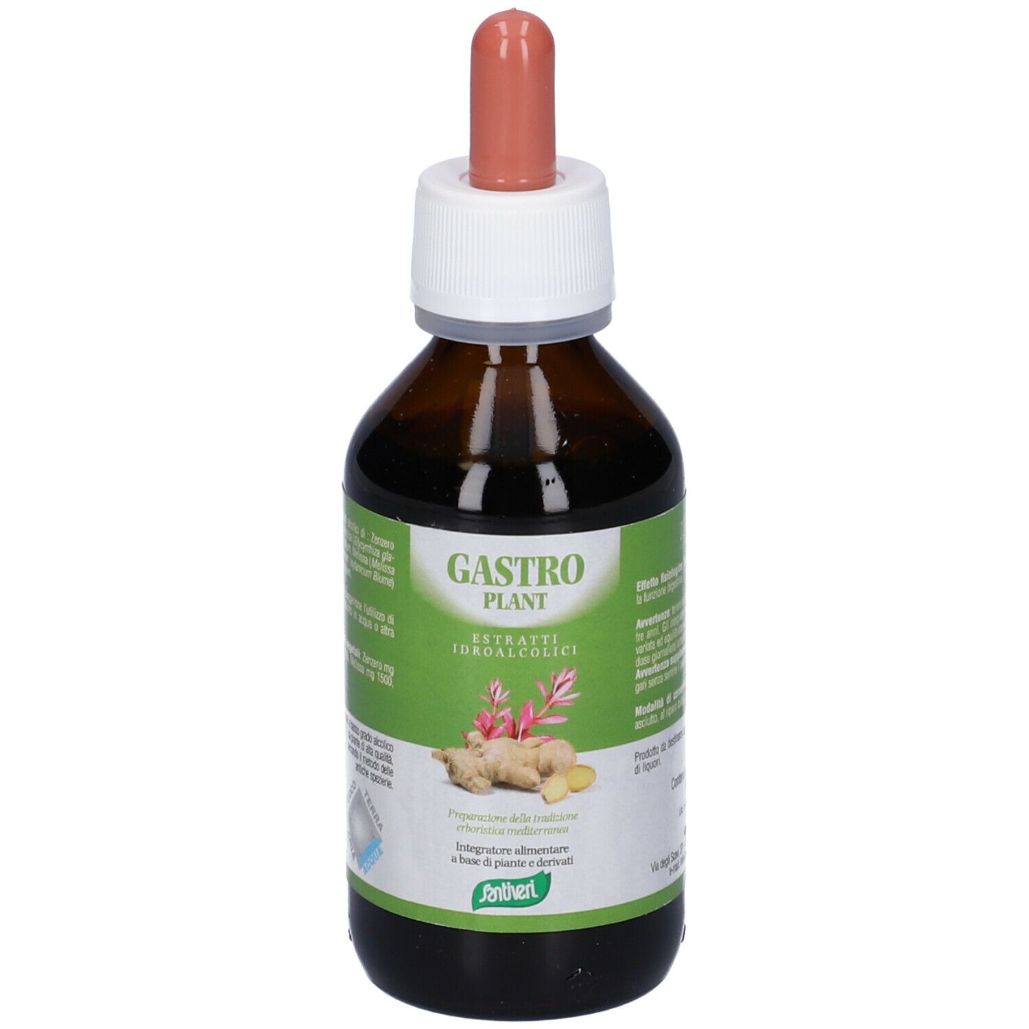 Zef03 Gastro Plant Stv
