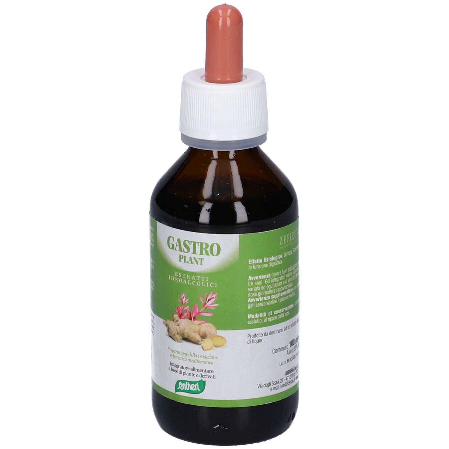 Zef03 Gastro Plant Stv