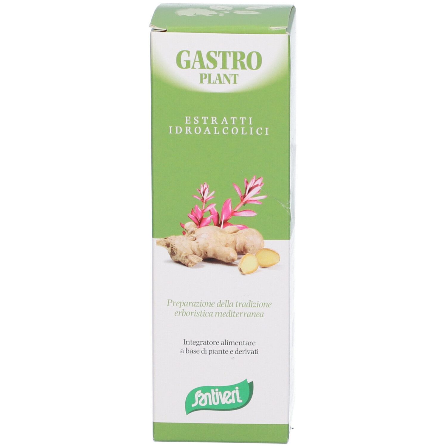 Zef03 Gastro Plant Stv