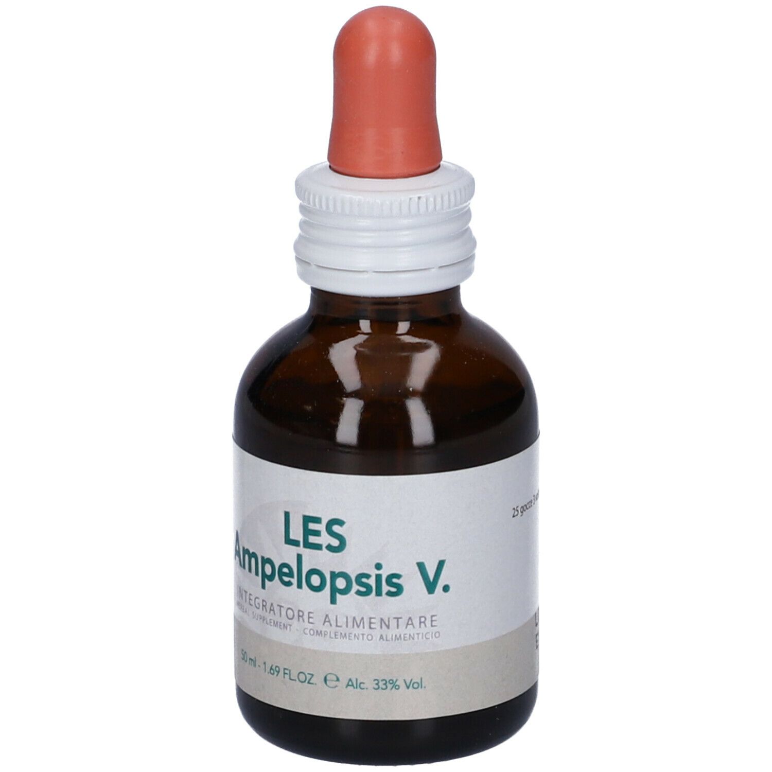 Les Ampelopsis Weitchii Gocce
