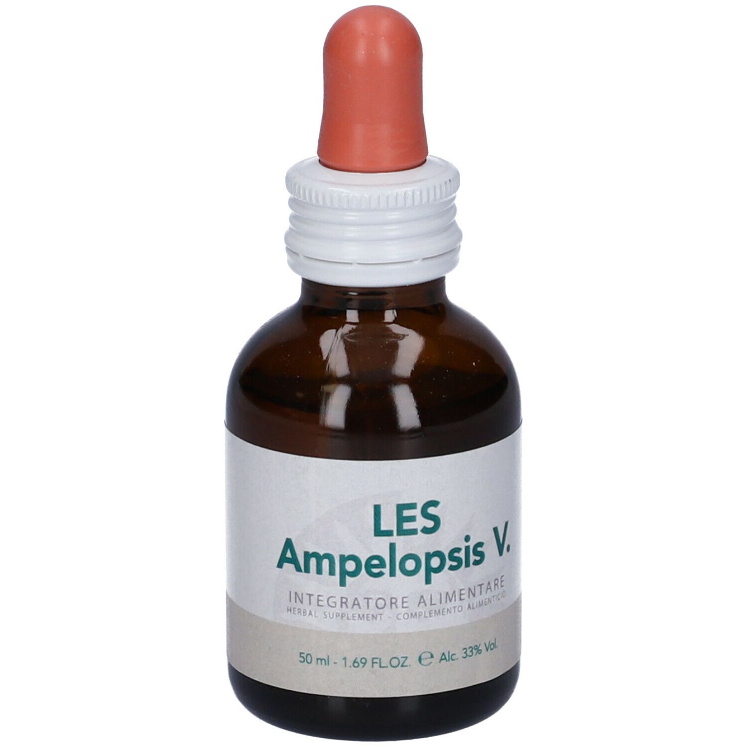 Les Ampelopsis Weitchii Gocce