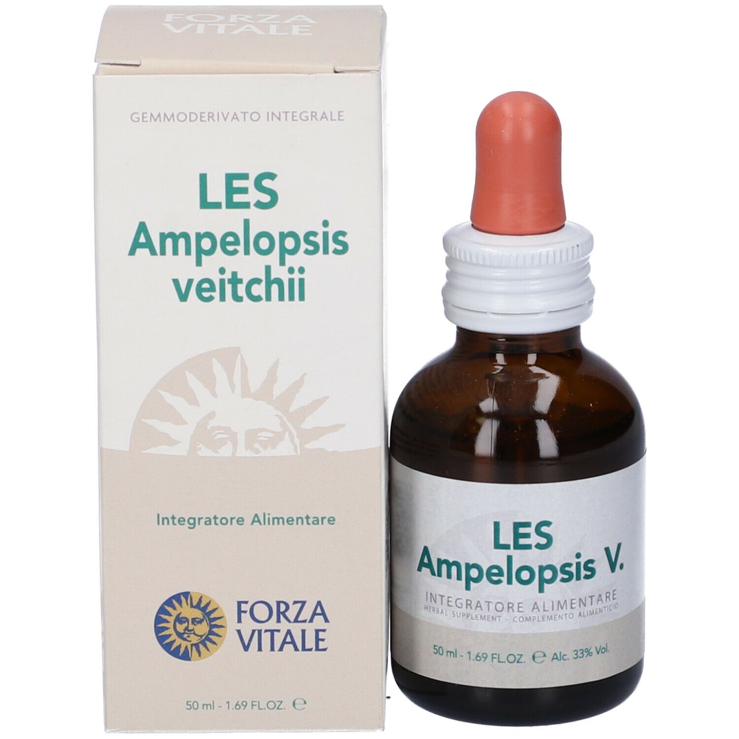 Les Ampelopsis Weitchii Gocce