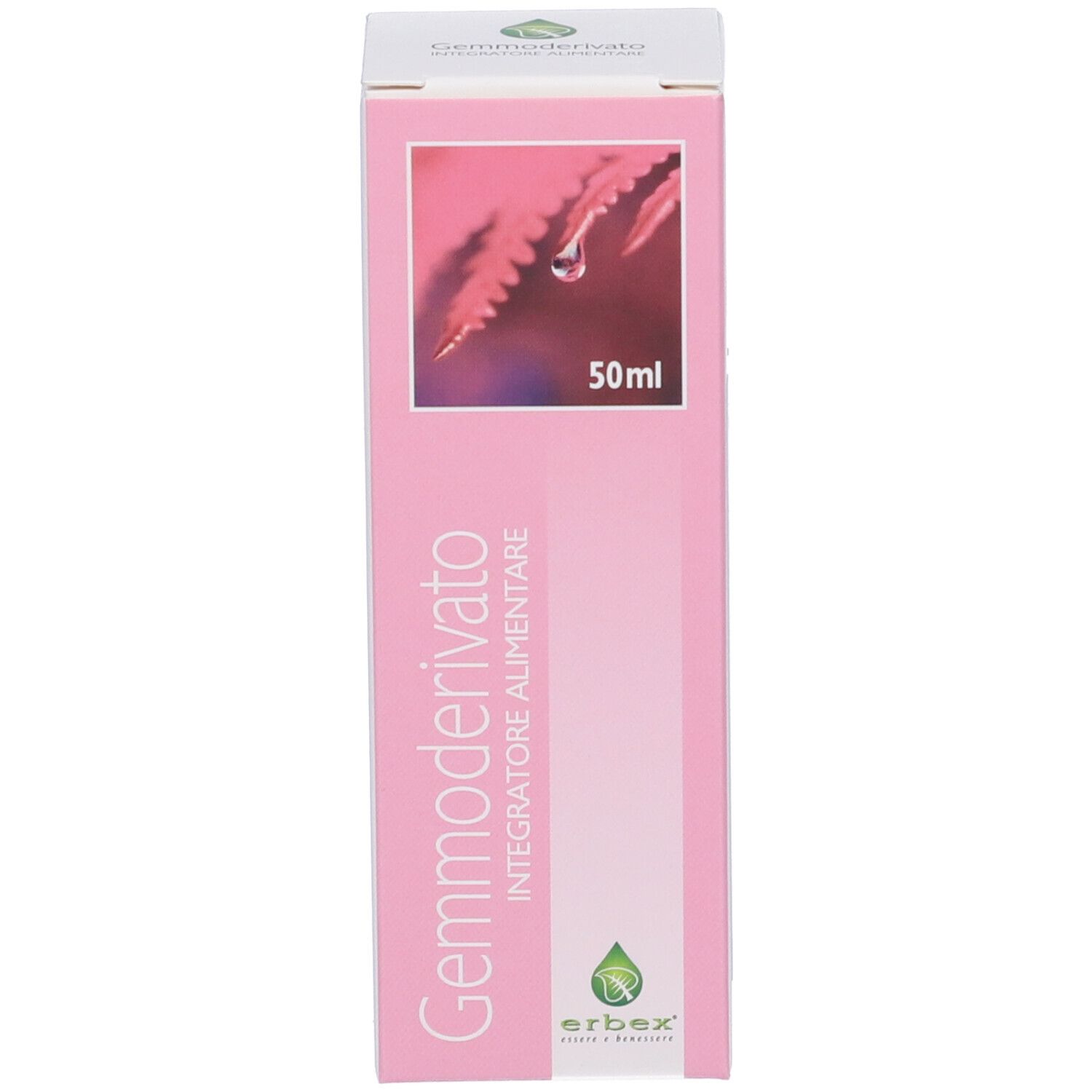 Erbex Ribes Nero Macerato Glicerico