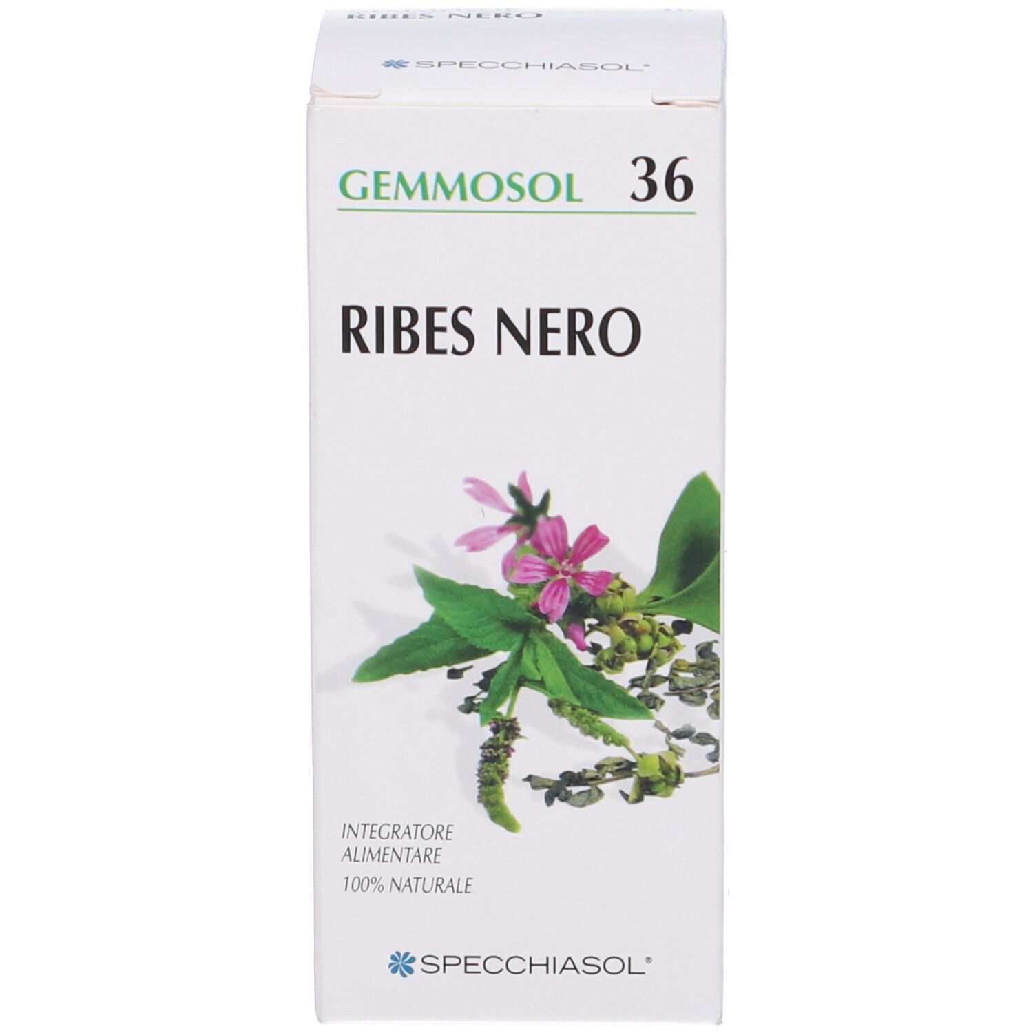 Scatola bianca con Gemmosol 36 Ribes Nero. Sulla scatola un'illustrazione di foglie e fiori.