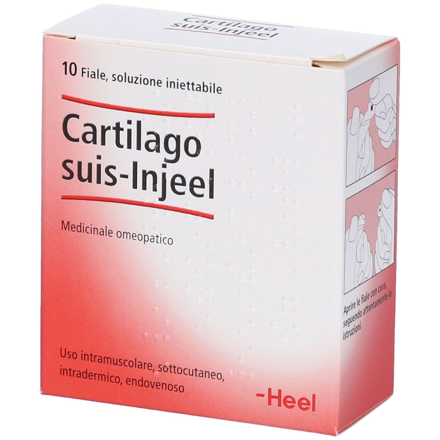 Guna Cartilago suis-Injeel