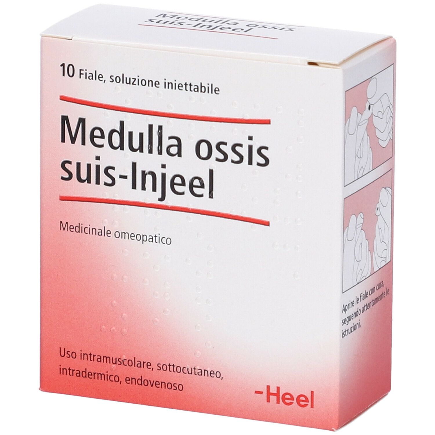 Guna Medulla ossis suis-Injeel