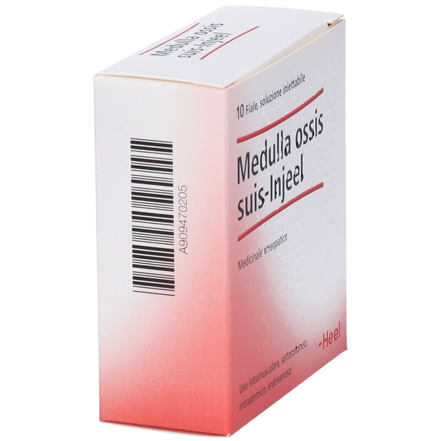 Guna Medulla ossis suis-Injeel