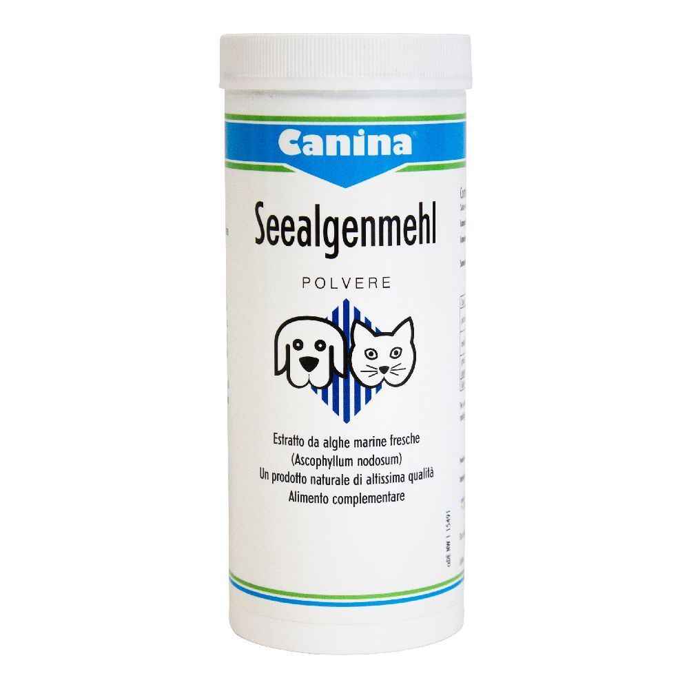 Seealgen Polvere 250G