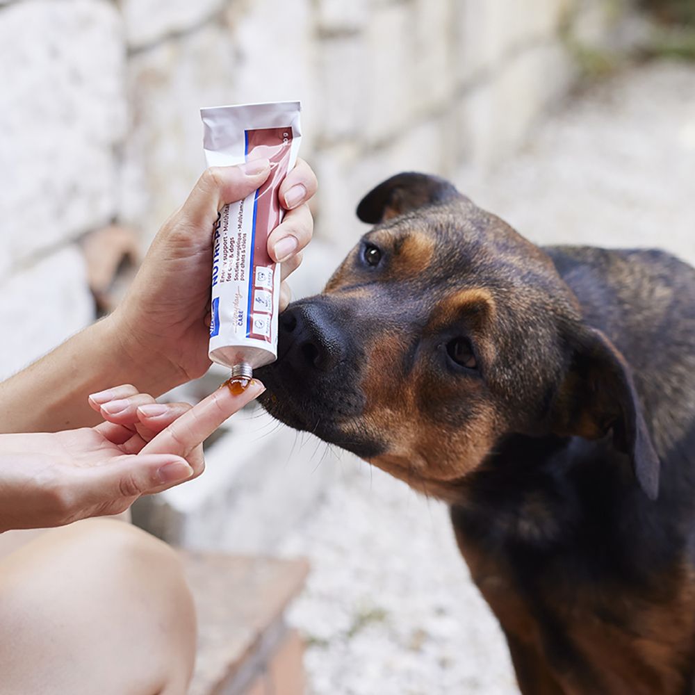 Persona dà Virbac Nutri-plus Gel a un cane. Scritta: NUTRI-PLUS GEL. Per gatti e cani. Multivitamine e minerali.