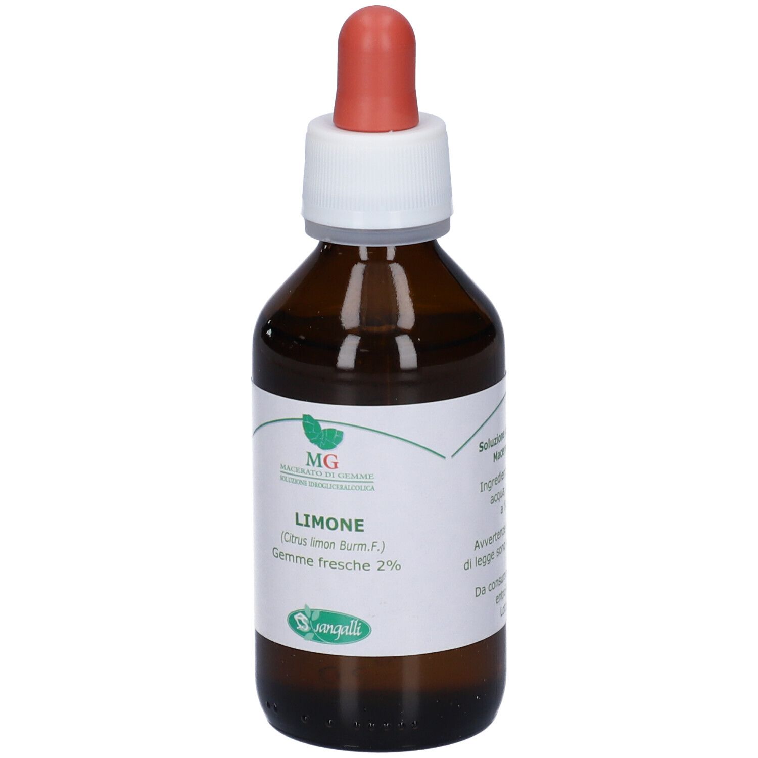 MG Limone (Citrus limonium) gemme