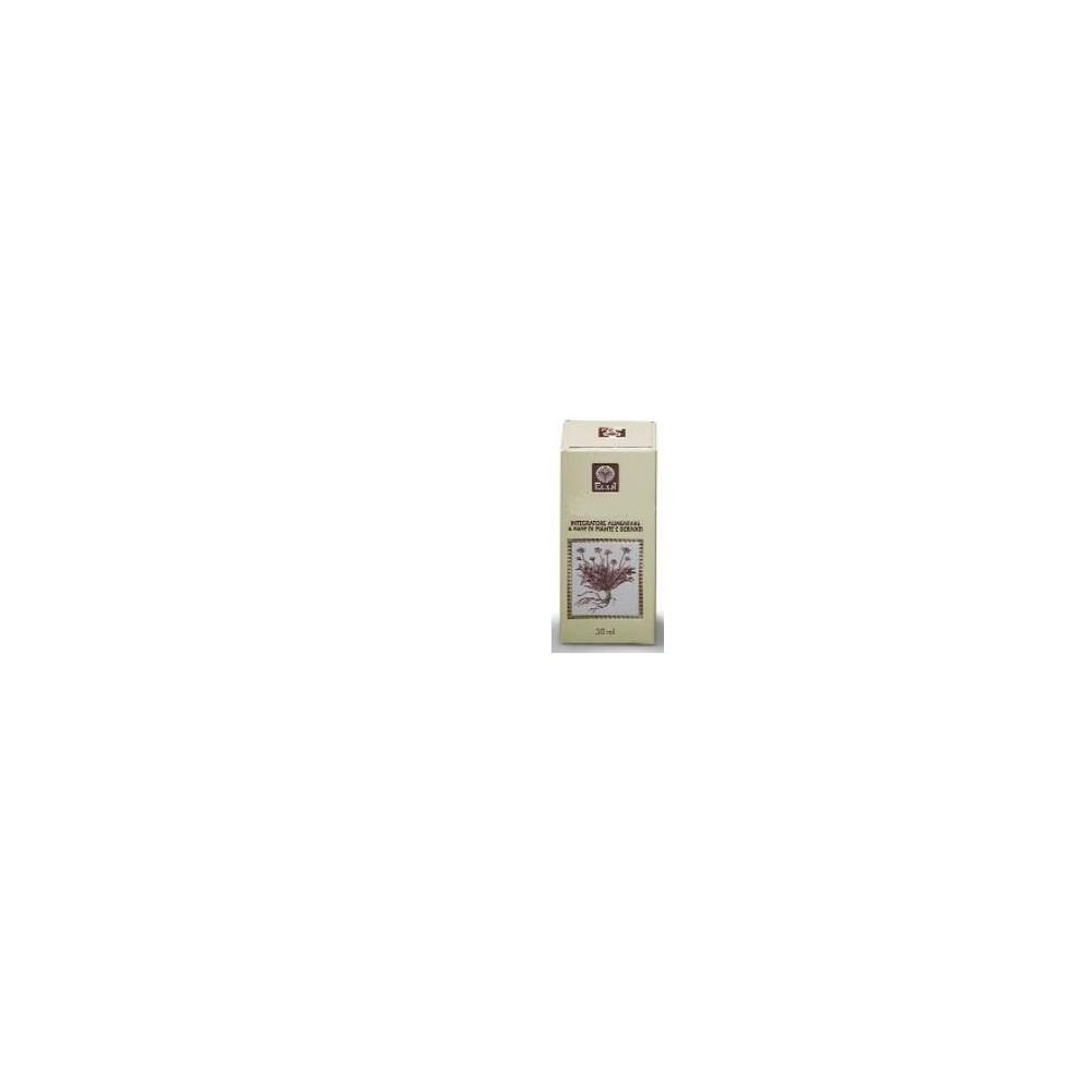 Equiseto Estratto Analcolico 50 Ml Articolo 794